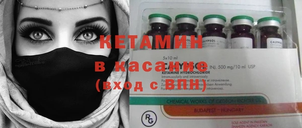 гашик Горняк