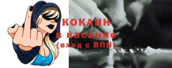 гашик Горняк