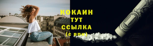гашик Горняк