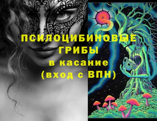 гашик Горняк