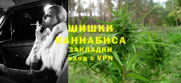 гашик Горняк