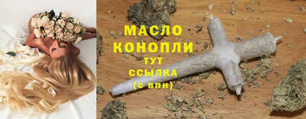 гашик Горняк