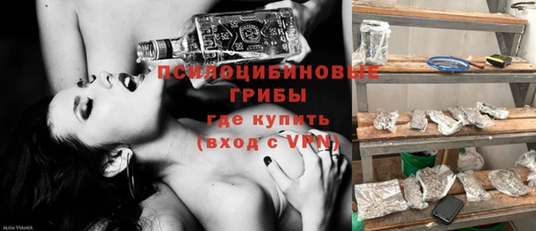 гашик Горняк
