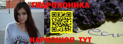 МДПВ Славгород