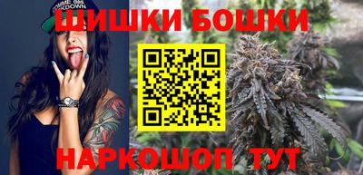 МДПВ Славгород