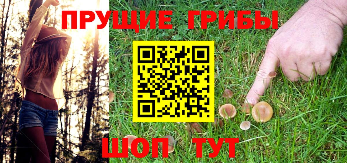 Псилоцибиновые грибы Cubensis Заринск