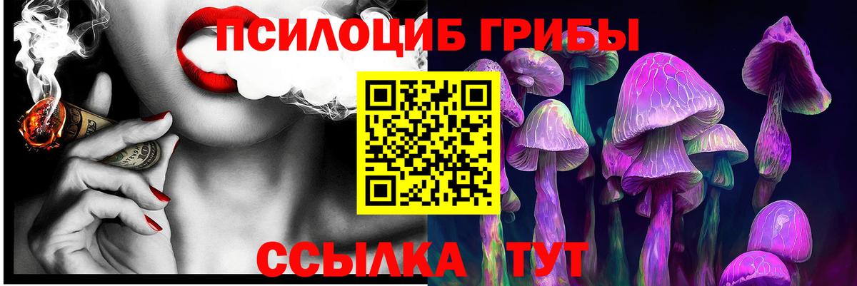 Заринск  Галлюциногенные грибы ЛСД  Вход с VPN 