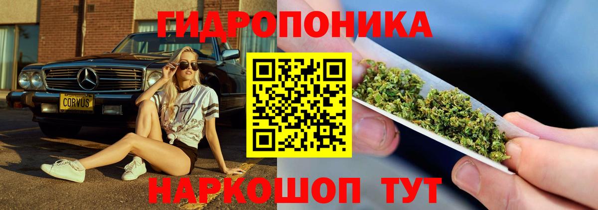 Канабис OG Kush Заринск